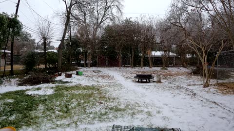 2022 February DFW Snowfall