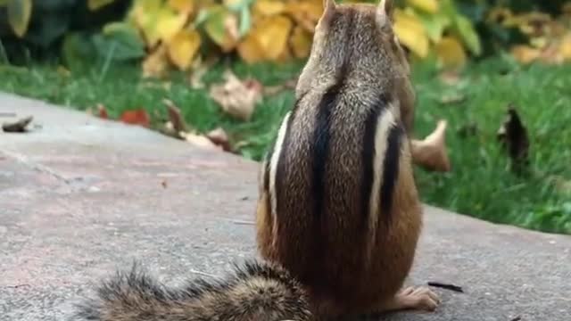 When you are really hungry