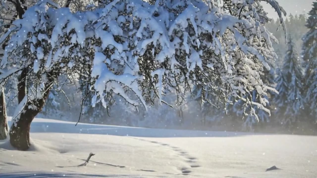 ICE SKATING 2