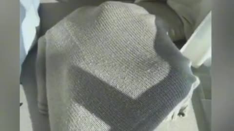 Cassi under a blanket