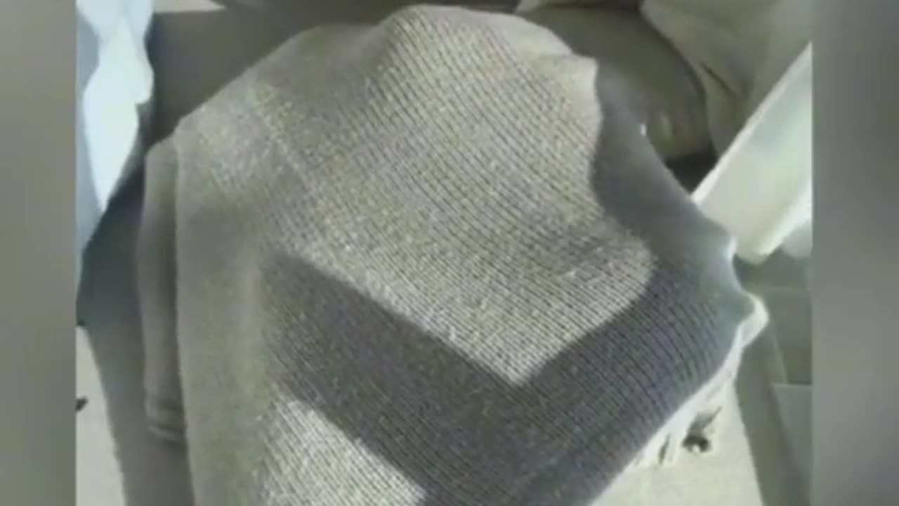 Cassi under a blanket