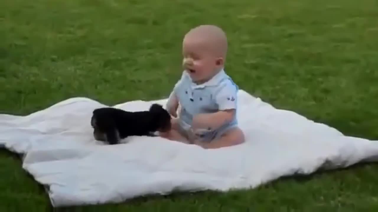 Bebé jugando con un cachorro