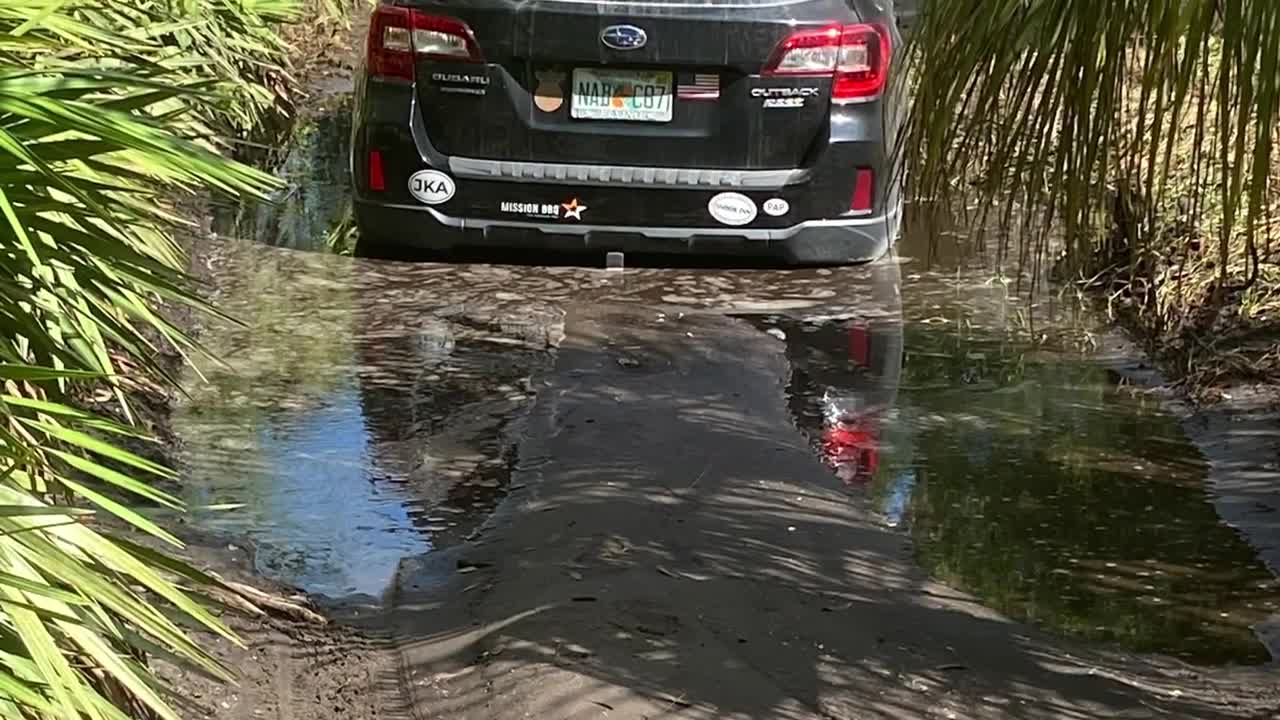 Idiot move stuck in Mud