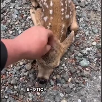 "From Worried to Grateful: How One Mother's Love Inspired Her Kids to Thrive"