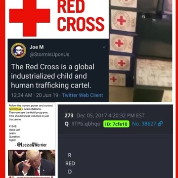 The Red Cross is a global industrialized child and human trafficking cartel.