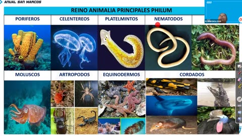 ANUAL ADUNI 2023 | REFORZAMIENTO 06 | BIOLOGÍA TEORÍA