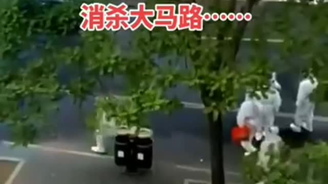 Great Chinese Circus 🎪