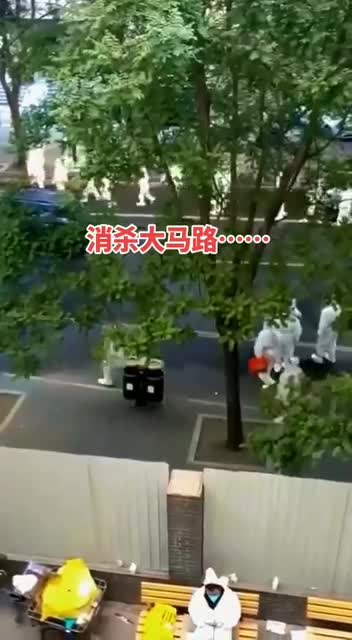 Great Chinese Circus 🎪