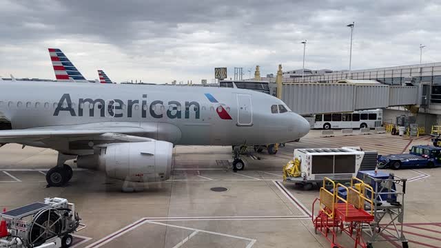 American Airline