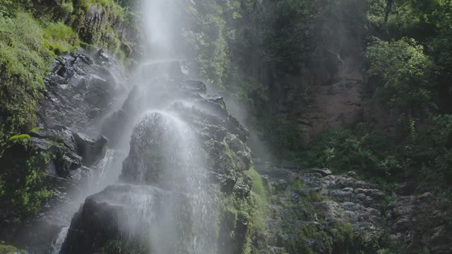 Waterfall in forest