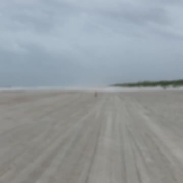 Adorable hurricane Elsa