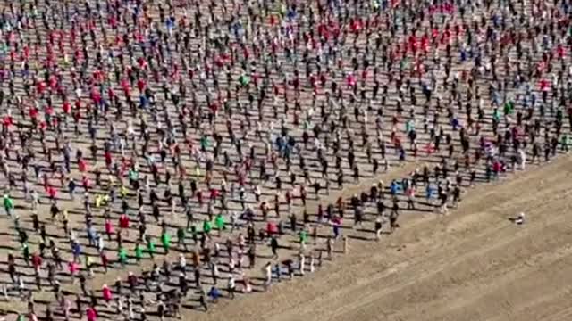 4,084 Australians have just broken the record for the world's biggest Nutbush