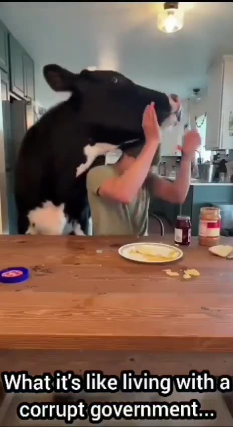 What it's like living with a corrupt government