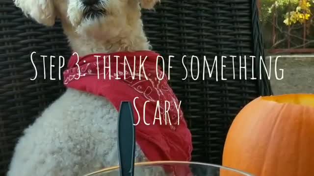 White dog pumpkin carving tutorial vacuum