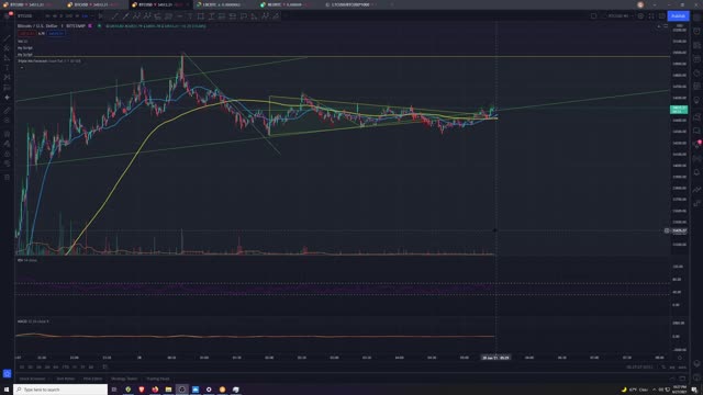Announcement and Thoughts