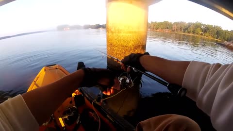 If there are no fish, check the bait before throwing it.