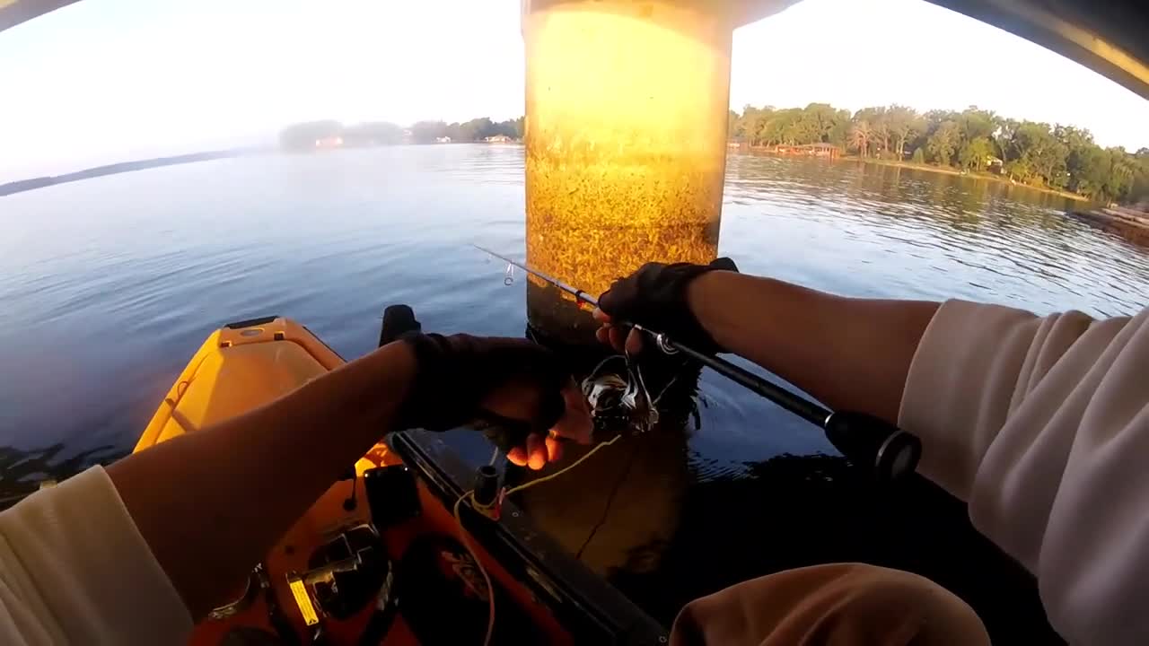 If there are no fish, check the bait before throwing it.