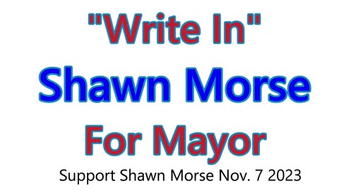 Write in ballot