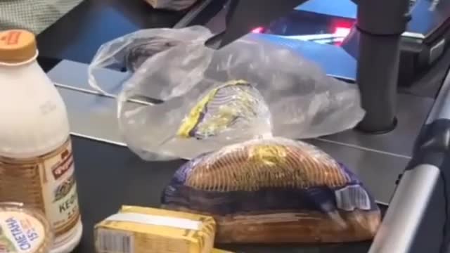 Fresh fish dancing at the checkout