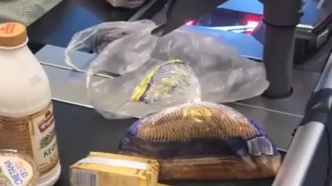 Fresh fish dancing at the checkout