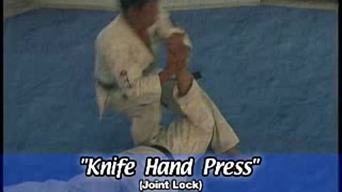 Hapkido
