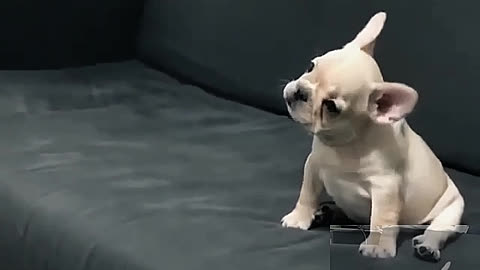 Come here baby