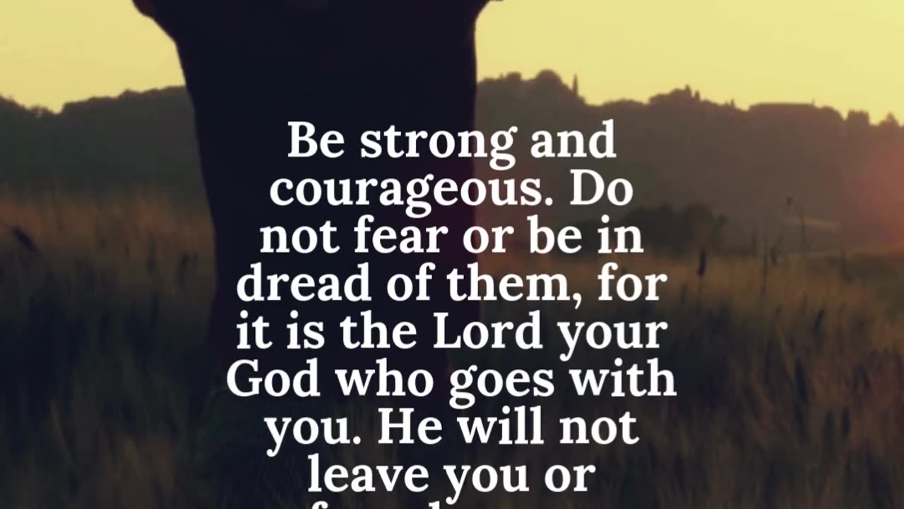 This Bible Verse Will Encourage You - Deuteronomy 31:6