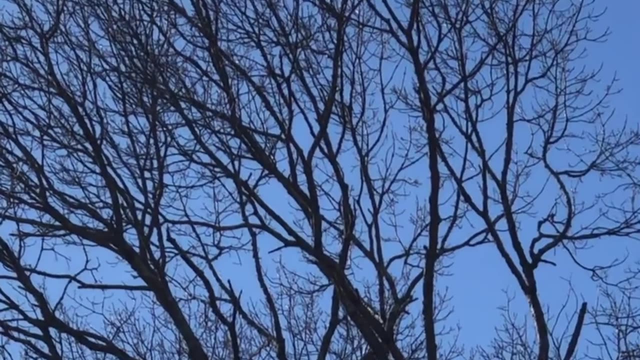 We need a plane to chase down their planes