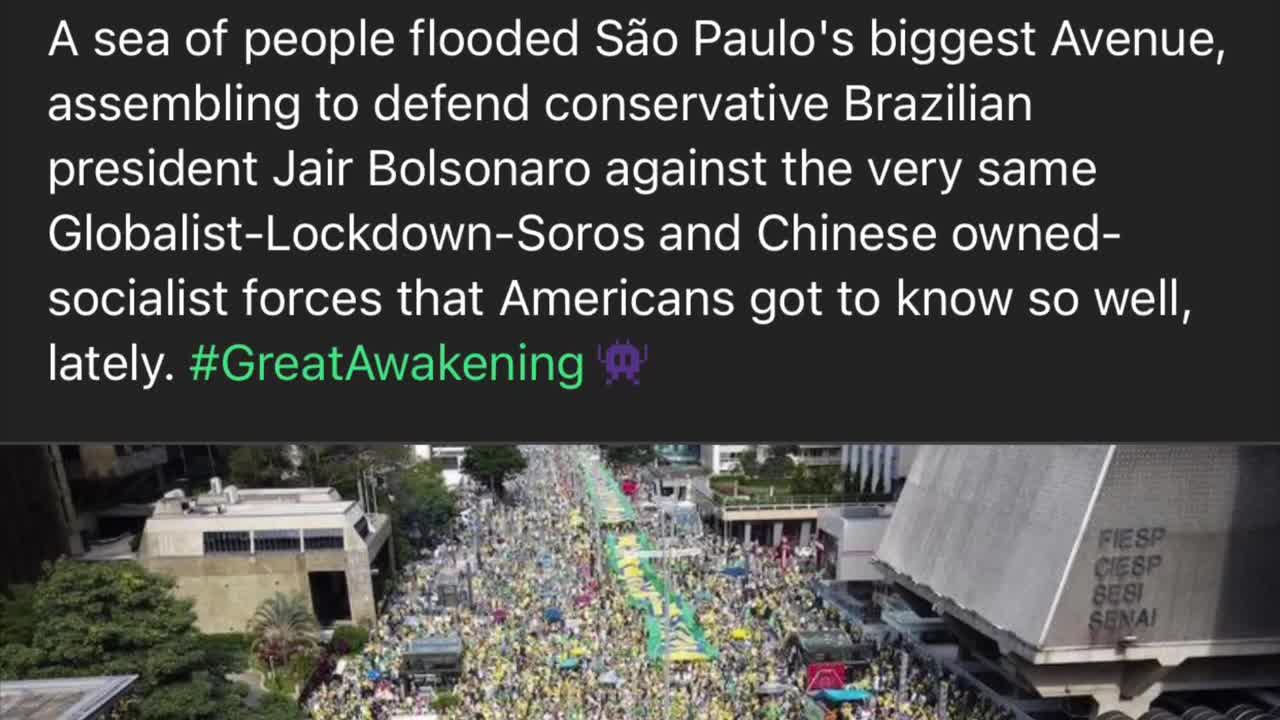 Zayde Wolf Gladiator