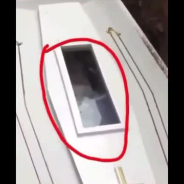 Que crees que fueeso