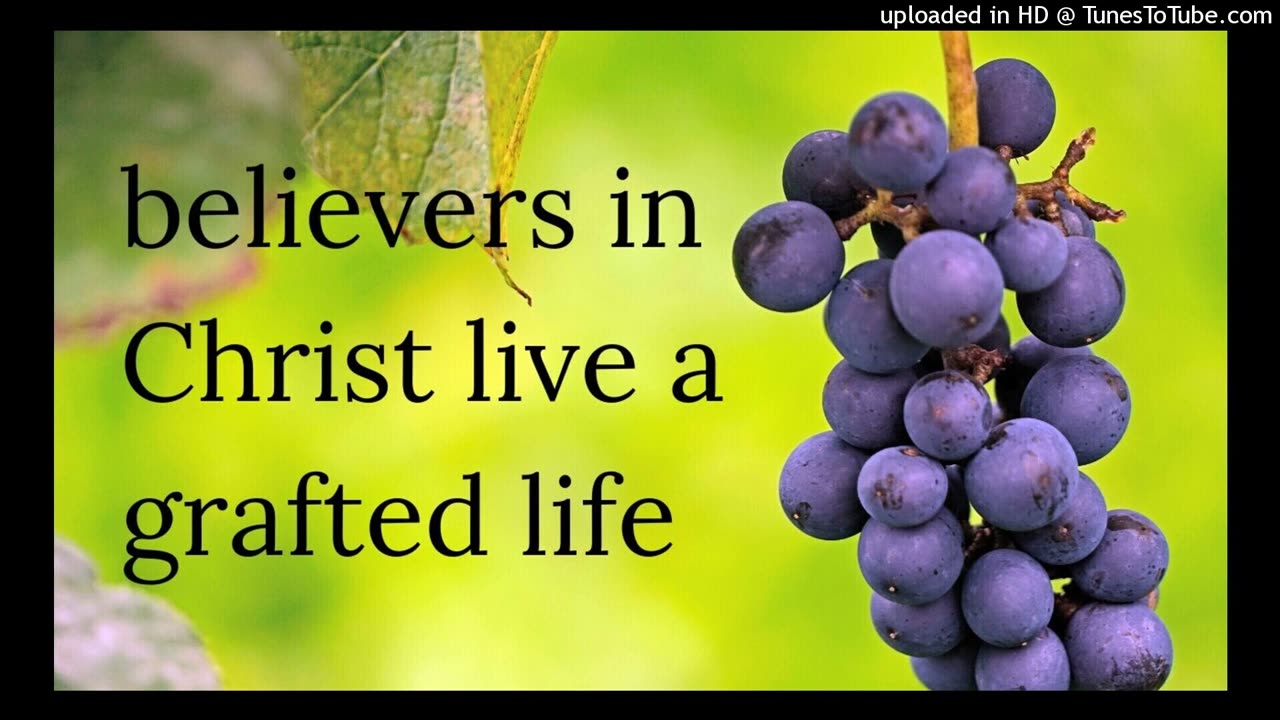 believers in Christ live a grafted life