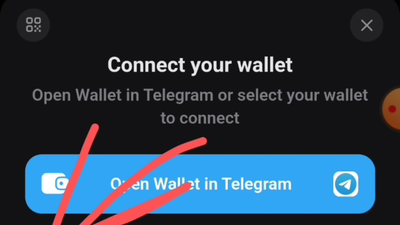 Learning how to connect the wallet to the Dogs robot