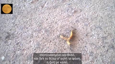 Thoughts and poems in Greek