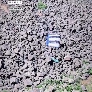 That one unemployed friend on a tuesday afternoon