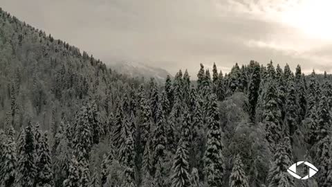 Заснеженная Рица