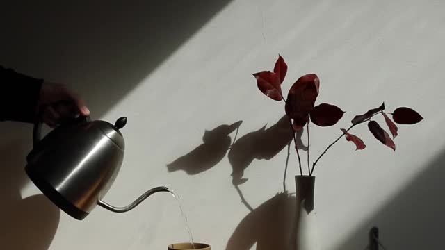pouring-hot-water-in-a-cup