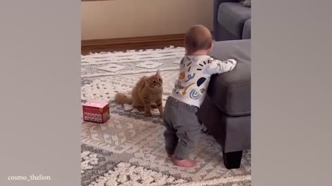 When your cat is the best babysitter Cute cats and little human