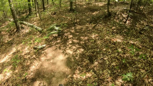 Mountain Biking Mineral Site Trail 8/16/2022