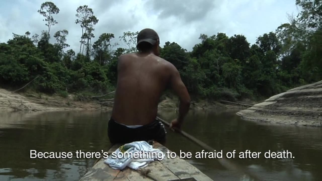 amazon jungle shaman healers cure diseases