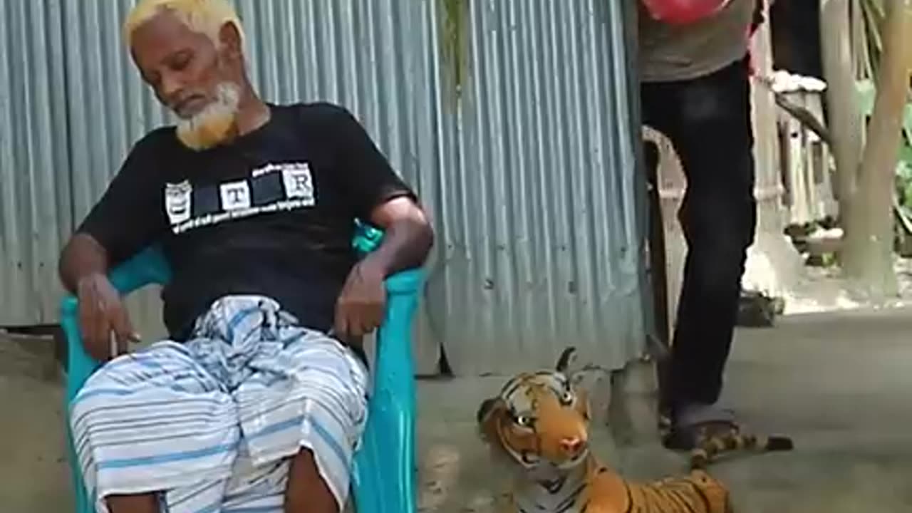 Top funniest fake tiger prank video