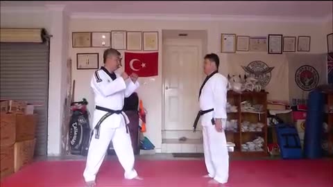 Taekwondo