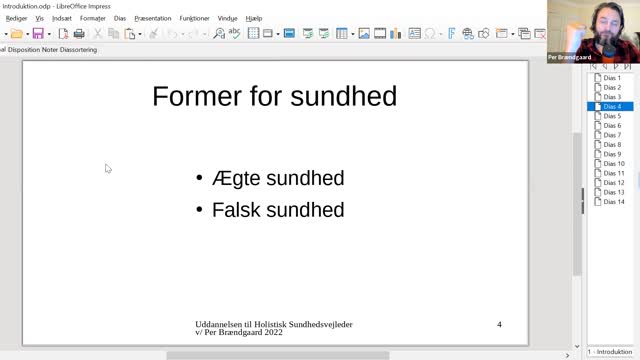 Introduktion til Holistisk Sundhed | PER BRÆNDGAARD