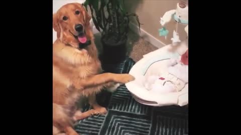funny animals😂😂