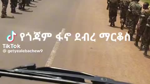 የአማራ ፋኖ ደብረማርቆስ