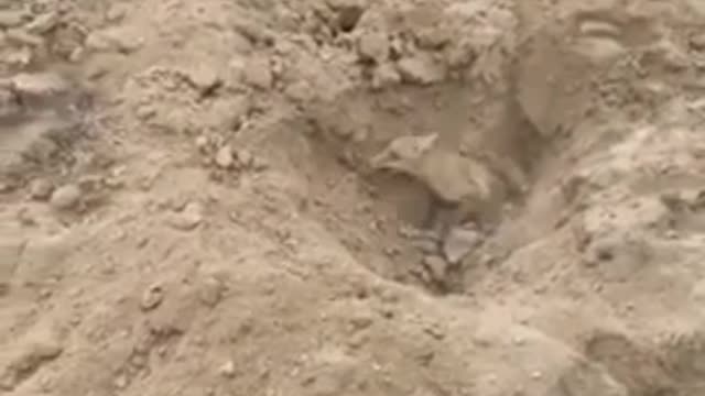 Humanity is the name of helping others,