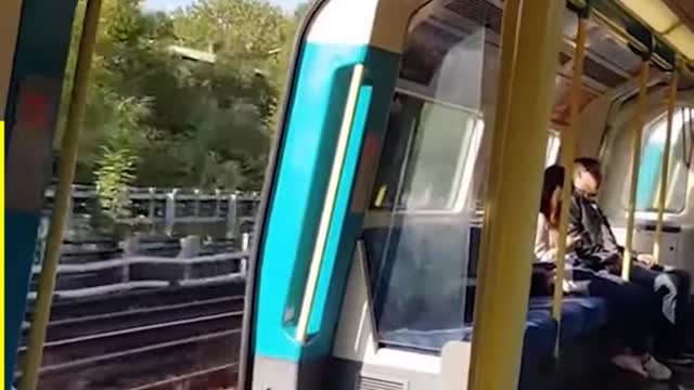 DOOR FAILS 😂