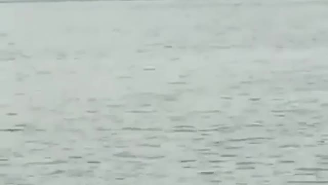 Boat Gets Away From Captain