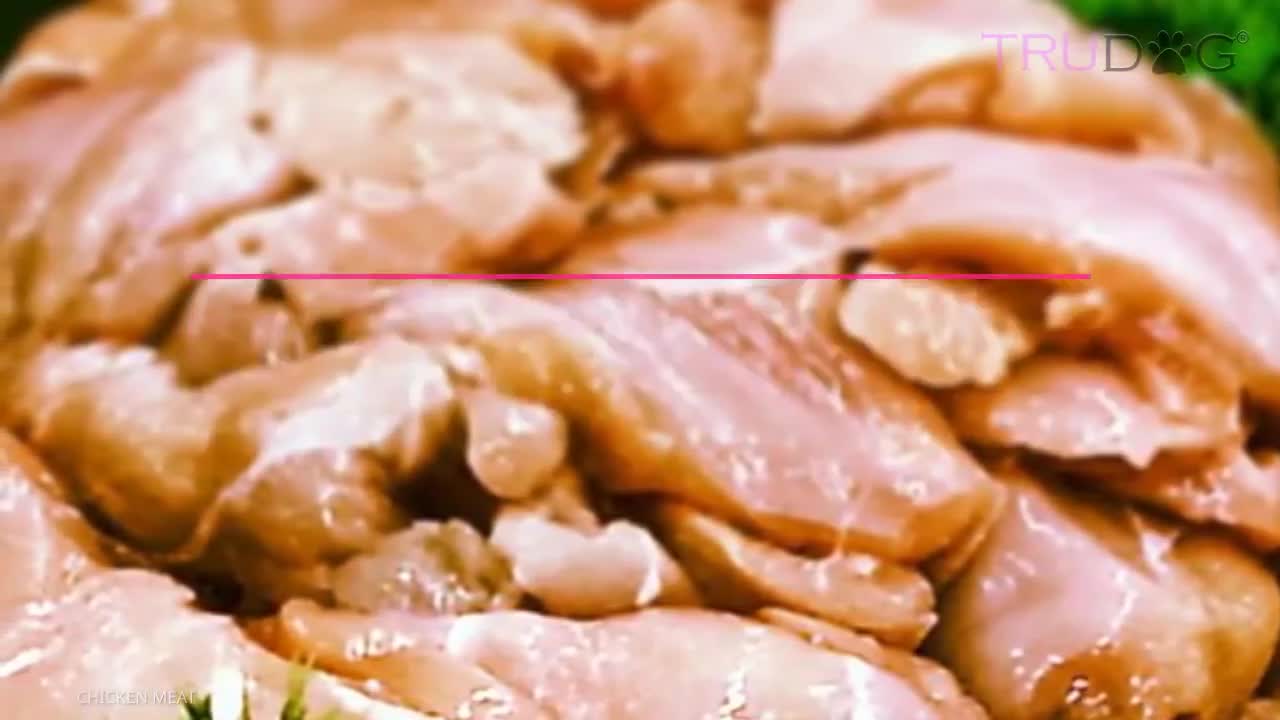 Top Meats for Your Dog- Pros and Cons