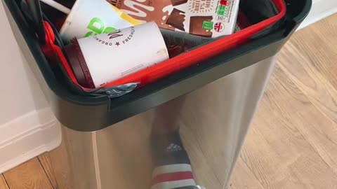 designed a trash can it would look like this