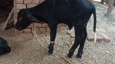 Below cute baby